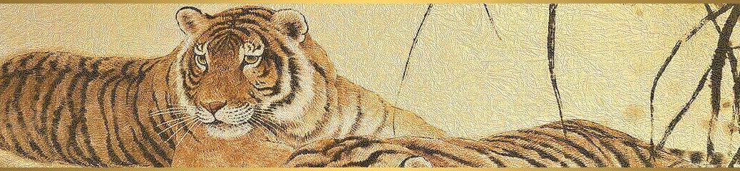 duch tigra